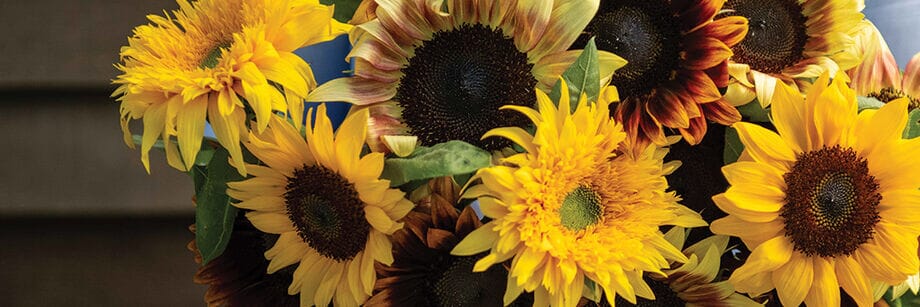Comment Associer les Tournesols Artificiels à d'autres Fleurs