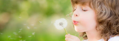 Allergique aux plantes ? 5 raisons d’adopter les fleurs artificielles