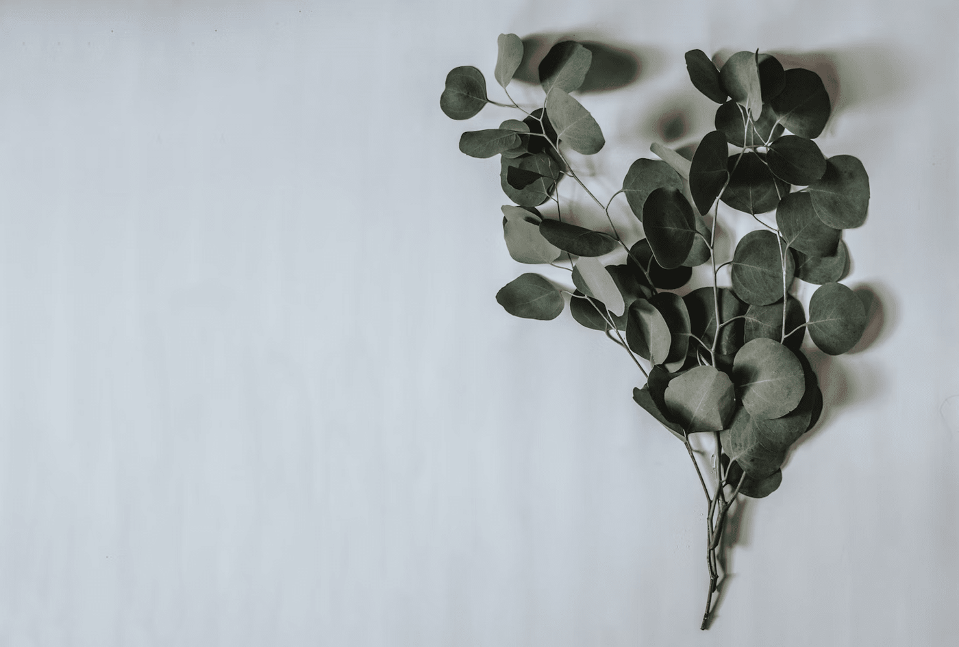 Branches Artificielles : Idées et Inspirations Décoratives