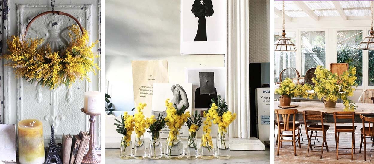 Comment Décorer votre Maison avec du Mimosa Artificiel ?