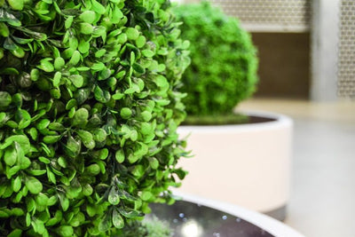 Les Meilleures Plantes Artificielles pour l'Extérieur