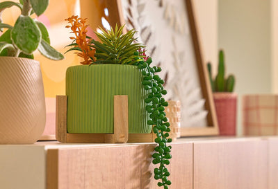 Plantes artificielles & enfants : 5 raisons de les adopter dans une chambre