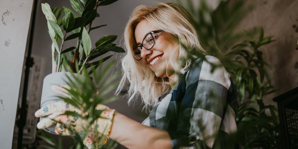 Vous oubliez toujours d’arroser vos plantes ? Voici la solution
