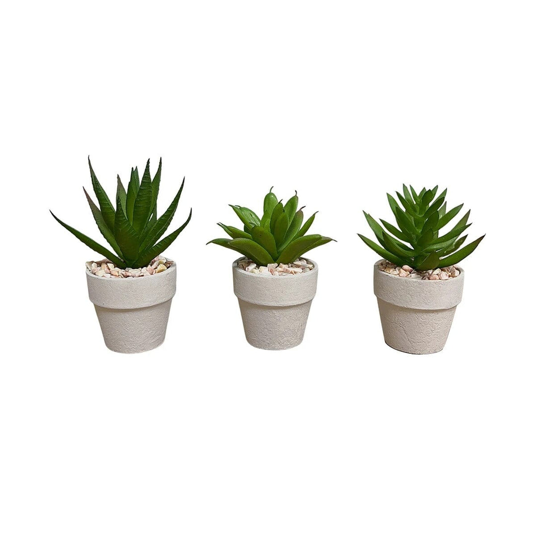 Lot De 3 Plantes Succulentes Artificielles En Pot - Décoration Réaliste Pour Salon, Bureau Et Salle De Bain