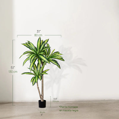 Dracaena Artificiel Haut de Gamme