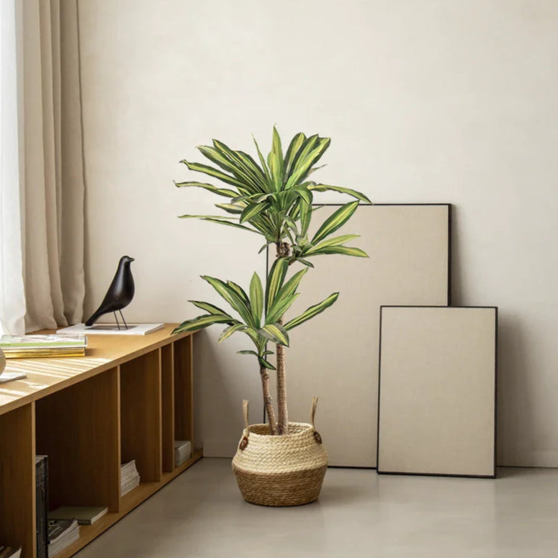 Dracaena Artificiel Haut de Gamme
