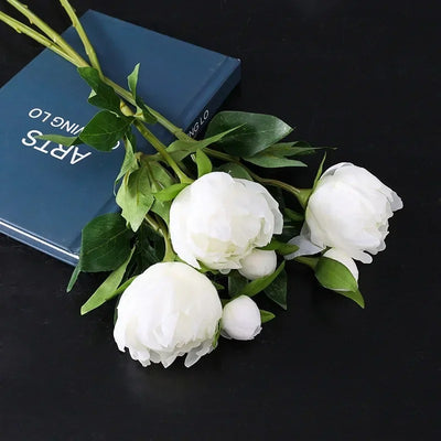 Fausse pivoine blanche