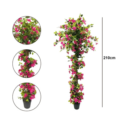 Arbre Bougainvillier 210 cm