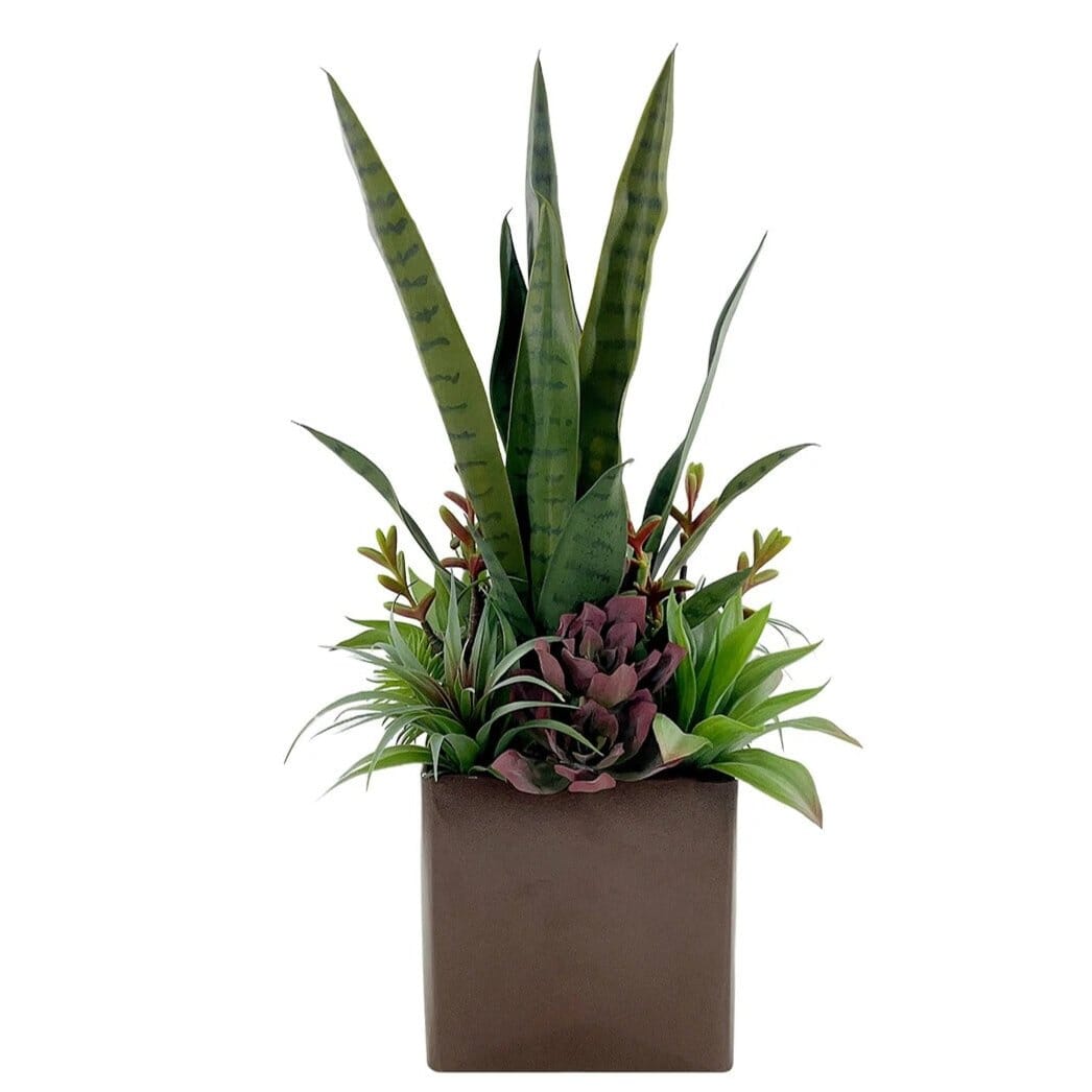 Plantes Pot Salon Bureau Lot De 3 Plantes Succulentes Artificielles En Pot - Déco Verte Sans Entretien Cache Pot Plante Interieur