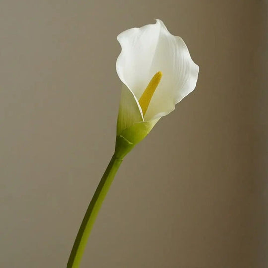 Arum blanc artificiel