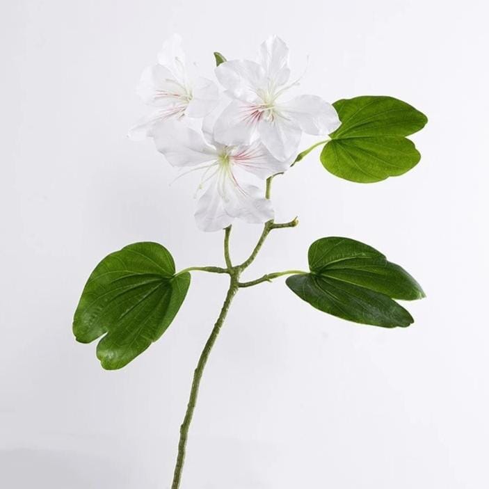 Bauhinia blanche artificielle