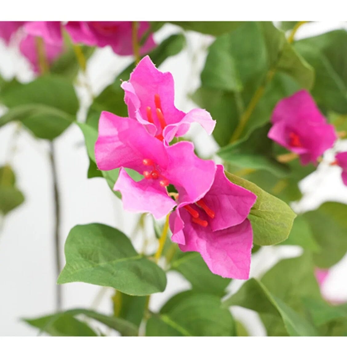 Bougainvillier Artificiel en Pot