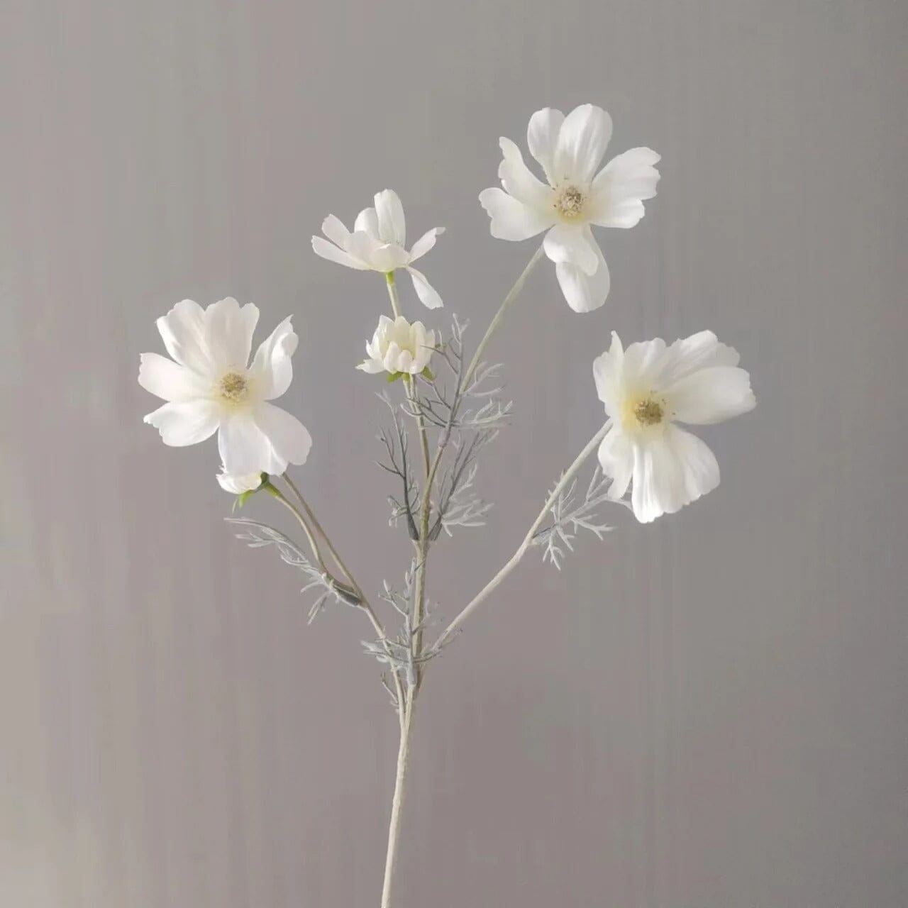 Cosmos blanc artificiel