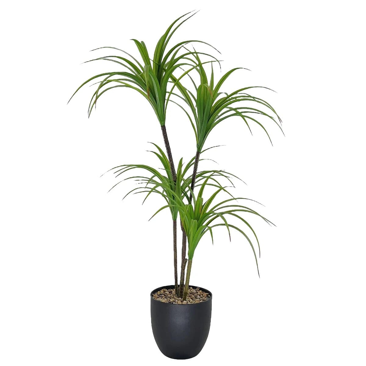 Dracaena Marginata Artificiel - 90 cm