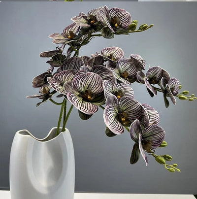 Fausse Orchidée Haut de Gamme - 76 cm
