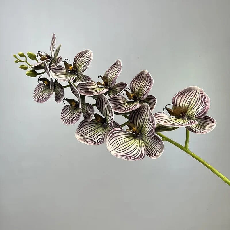 Fausse Orchidée Haut de Gamme - 76 cm