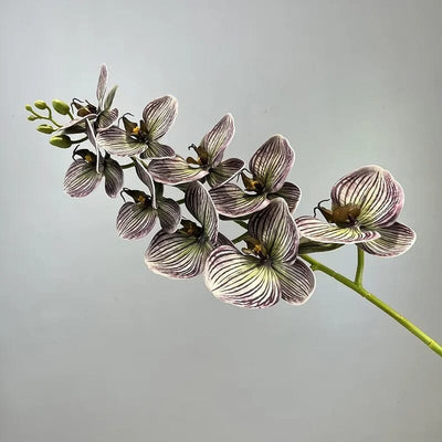 Fausse Orchidée Haut de Gamme - 76 cm