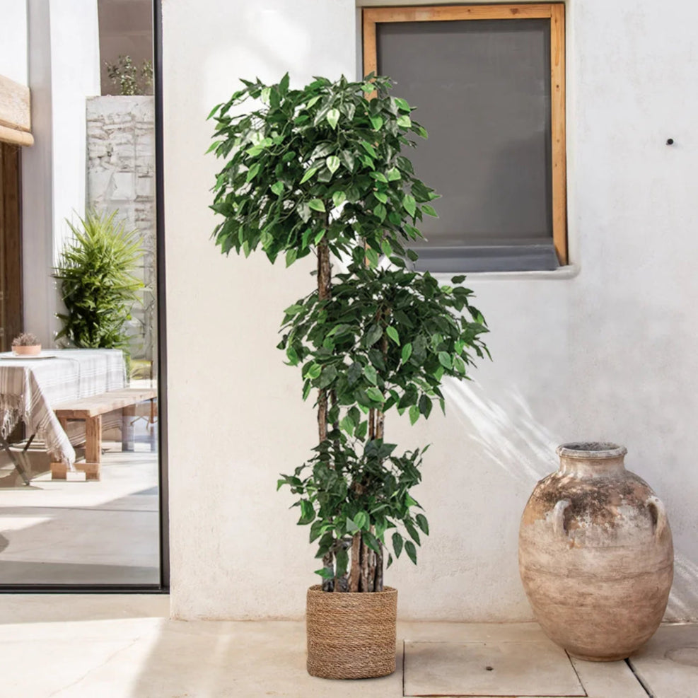 Faux Ficus Haut de Gamme