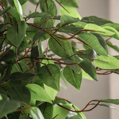 Faux Ficus Haut de Gamme