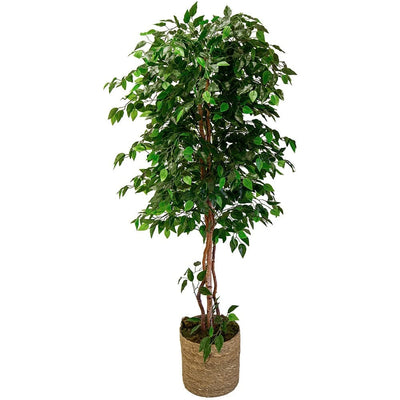 Ficus Artificiel en Pot - 100 cm / 150 cm / 180 cm