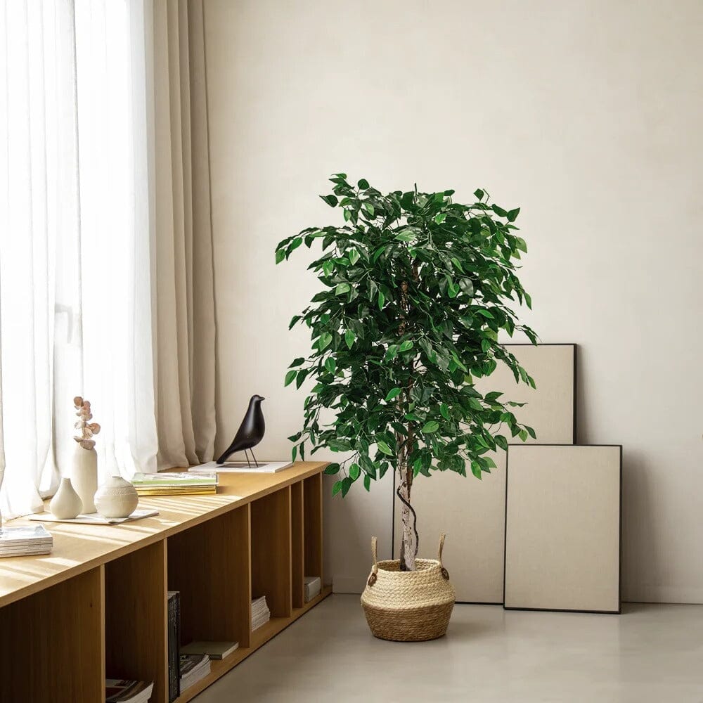 Ficus Artificiel en Pot - 100 cm / 150 cm / 180 cm