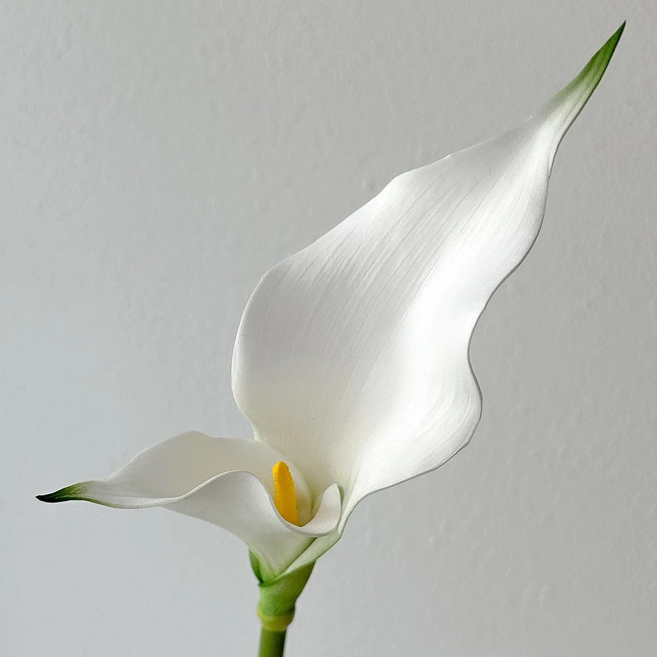 Fleur Arum Artificielle Haut de Gamme