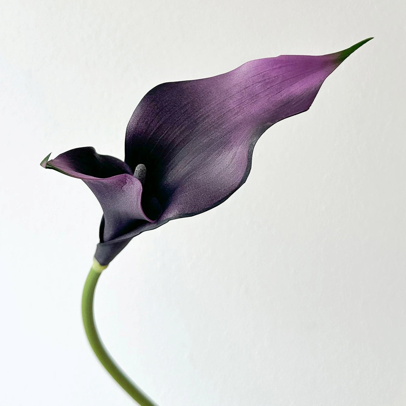 Fleur Arum Artificielle Haut de Gamme