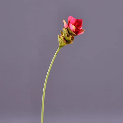 Fleur Exotique Artificiel - Curcuma alismatifolia
