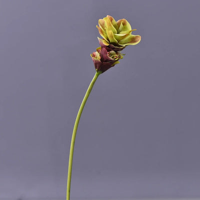 Fleur Exotique Artificiel - Curcuma alismatifolia