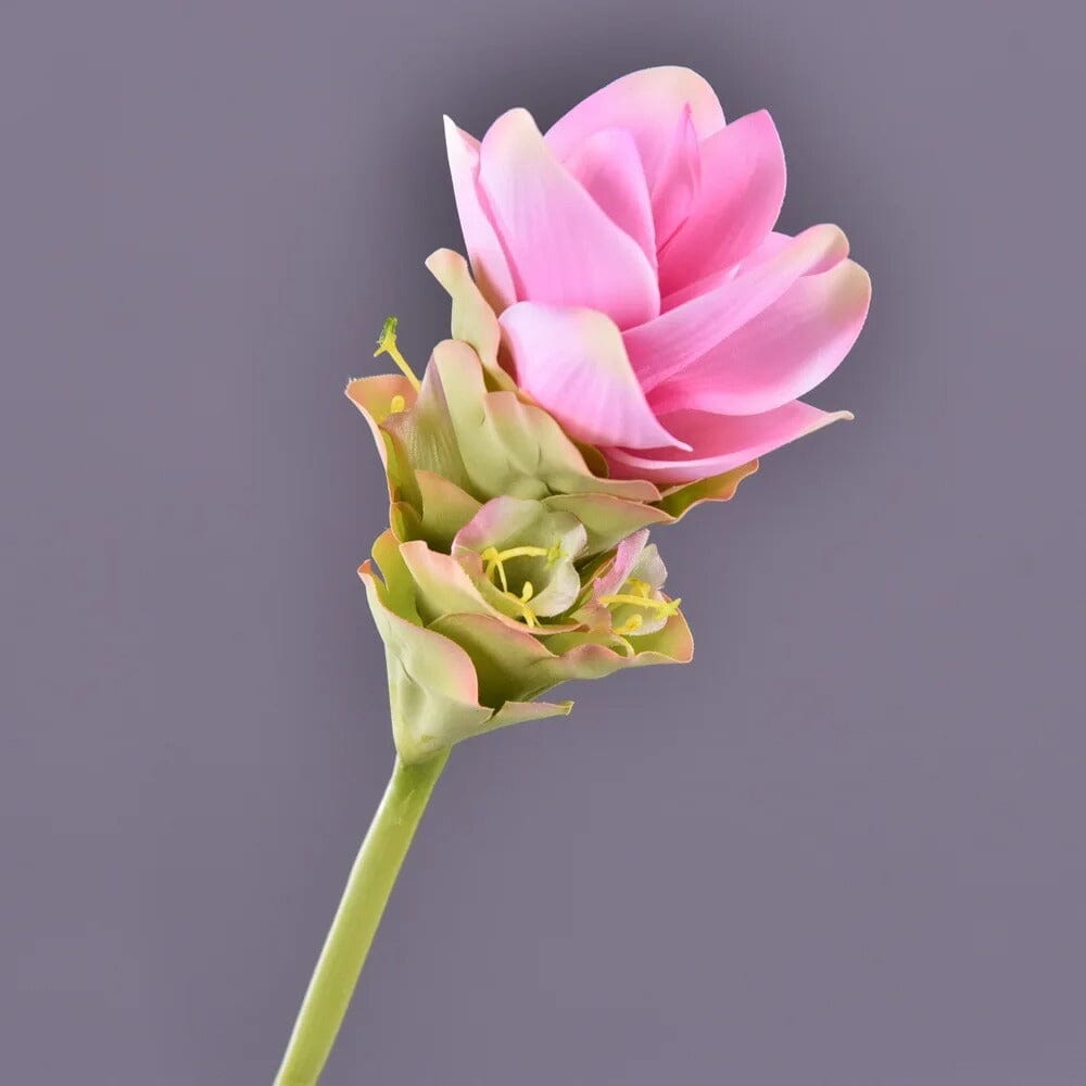 Fleur Exotique Artificiel - Curcuma alismatifolia