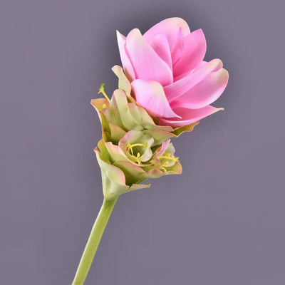 Fleur Exotique Artificiel - Curcuma alismatifolia