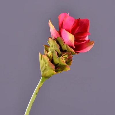 Fleur Exotique Artificiel - Curcuma alismatifolia