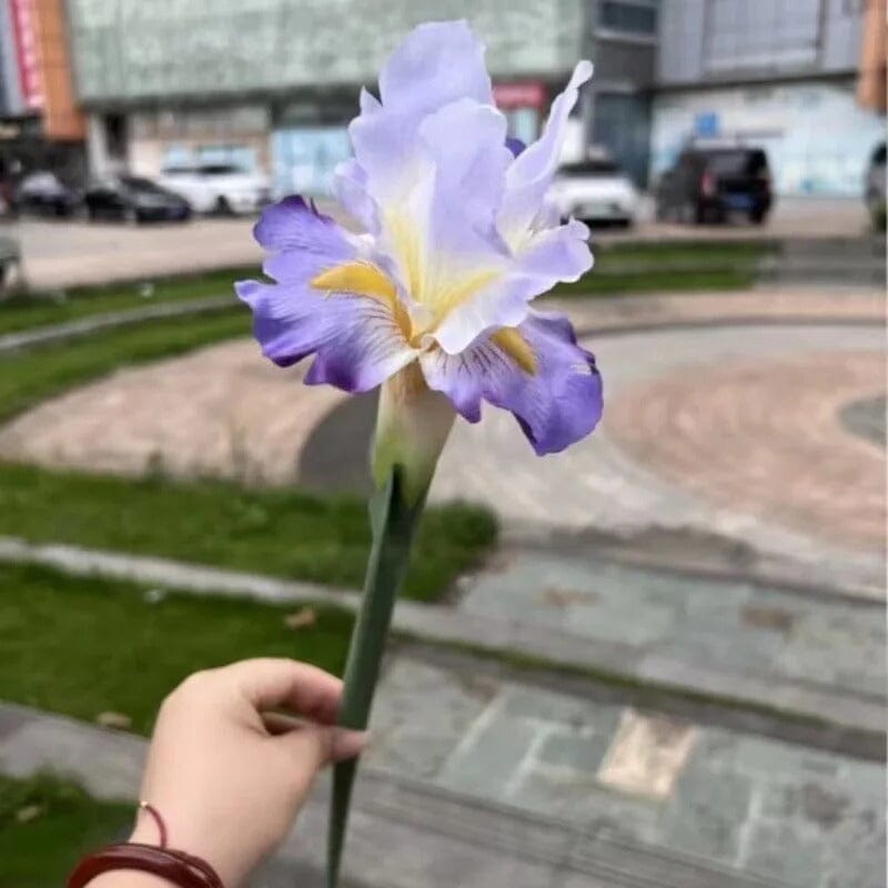 Fleur Iris Artificiel - 70 cm