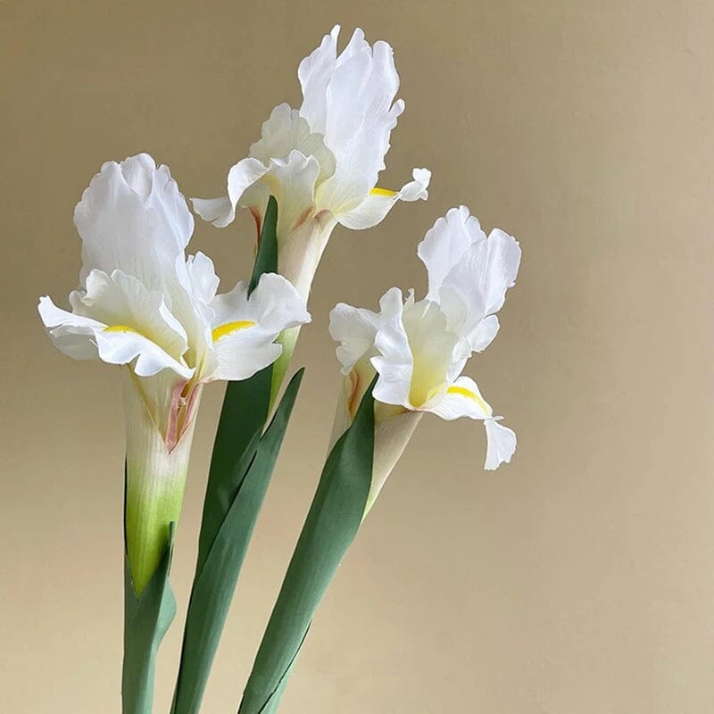 Iris blanc artificiel