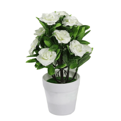 Fleur Rose en Pot pour Cimetière