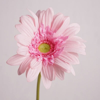 Gerbera Artificiel Rose - 65 cm