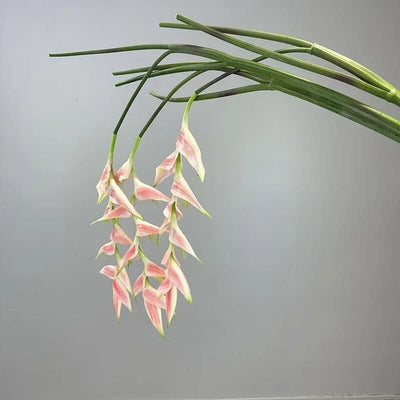 Heliconia Bec de Perroquet Haut de Gamme - 94 cm