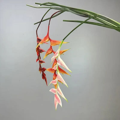 Heliconia Bec de Perroquet Haut de Gamme - 94 cm