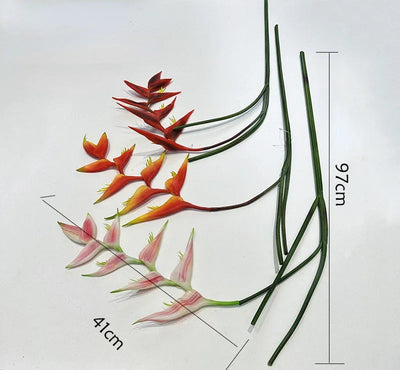 Heliconia Bec de Perroquet Haut de Gamme - 94 cm