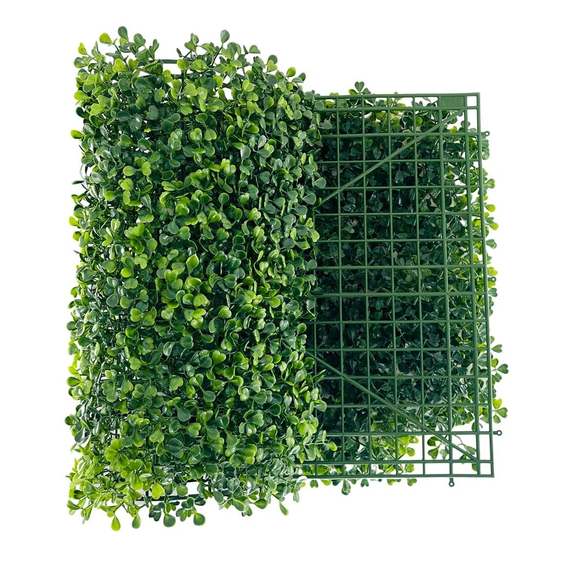 Mur Végétal Buis Artificiel - 61x41 cm