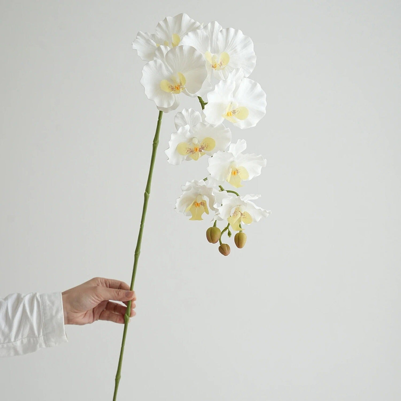Orchidée Artificielle Blanche - 98 cm