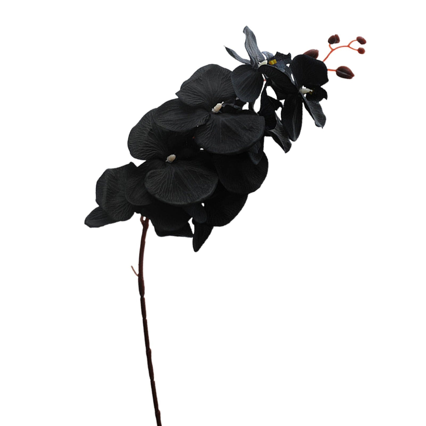 Orchidée Artificielle Noire - 100 cm