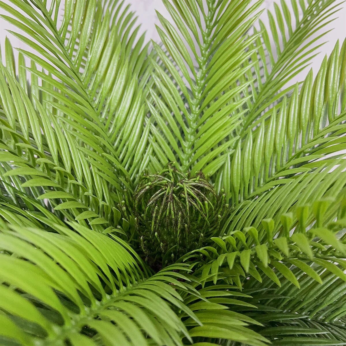 Palmier double en résine et liège h réelle 25 cm | vente en ligne sur Palmier double en résine et liège h réelle 25 cm | vente en ligne sur
