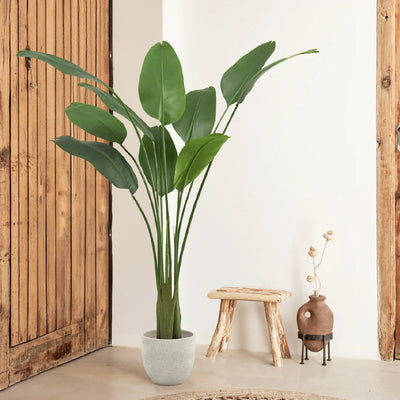 Plante Artificielle Strelitzia