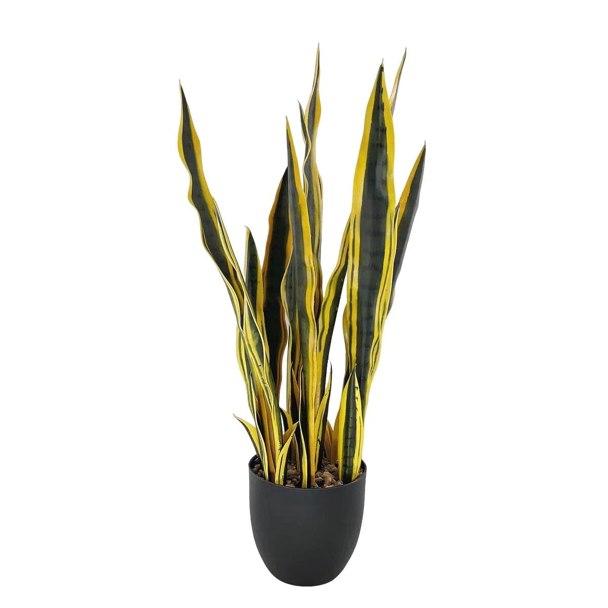 Sansevieria artificielle Laurentii - Horizon Artificiel