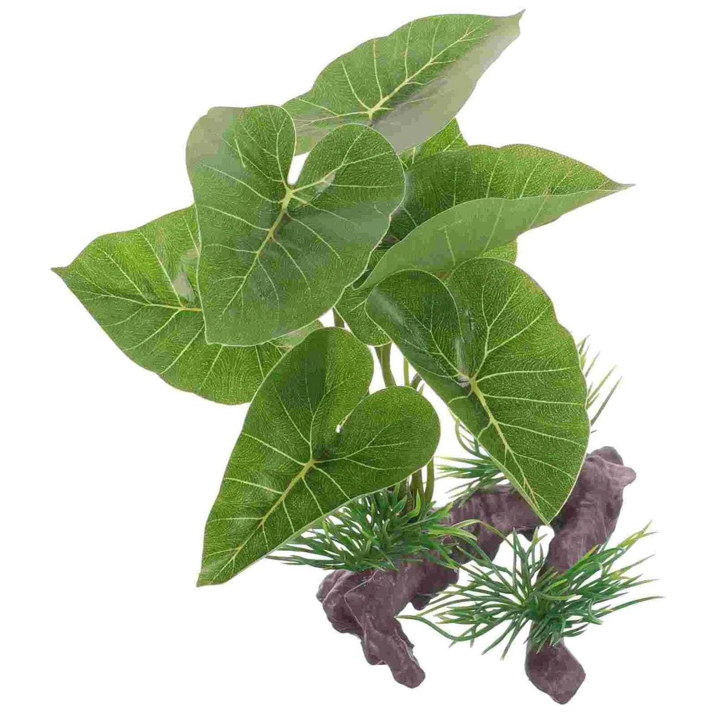 Plante Verte Pour Aquarium